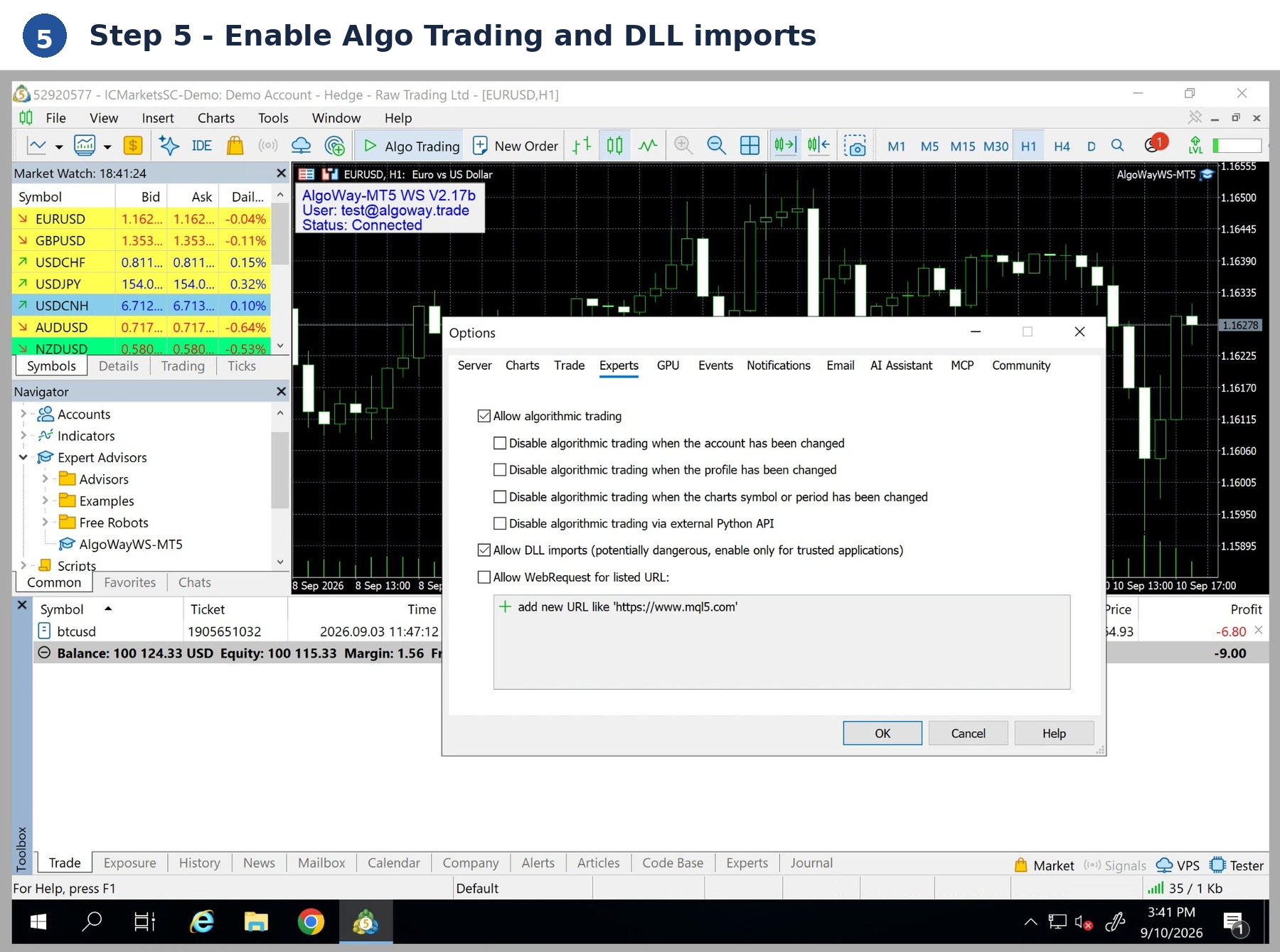 MetaTrader 5 Algo Trading settings with AlgoWay EA connected on the chart