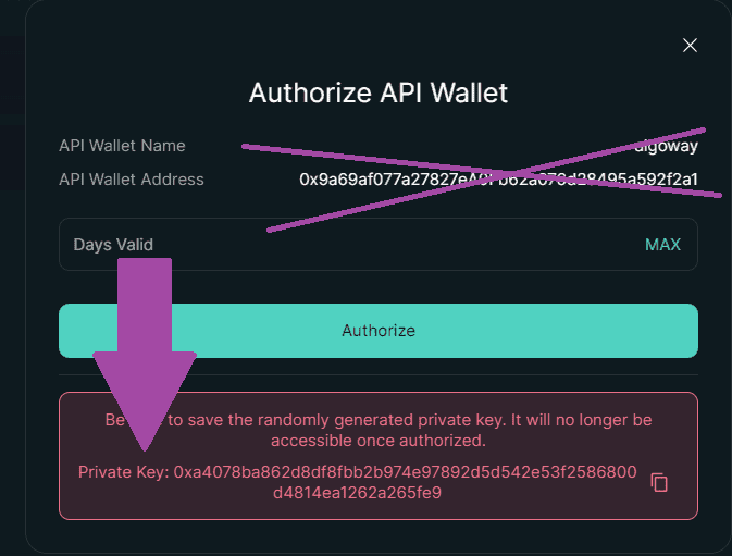 Hyperliquid Authorize API Wallet screen
