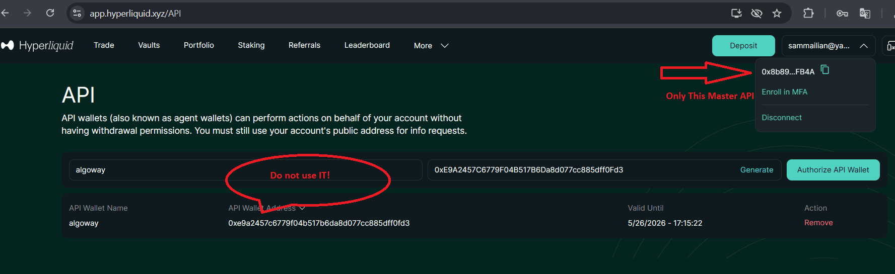 Hyperliquid API page showing the master wallet address